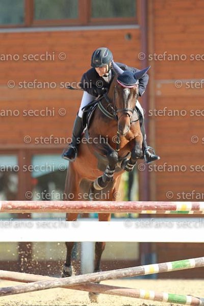 BIZZOCCHI_OH MY LADY_GIO CAV 2011_SS3_7515.jpg